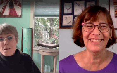 The role of order in family/systemic constellations