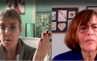 Systemic concepts applied to organizations